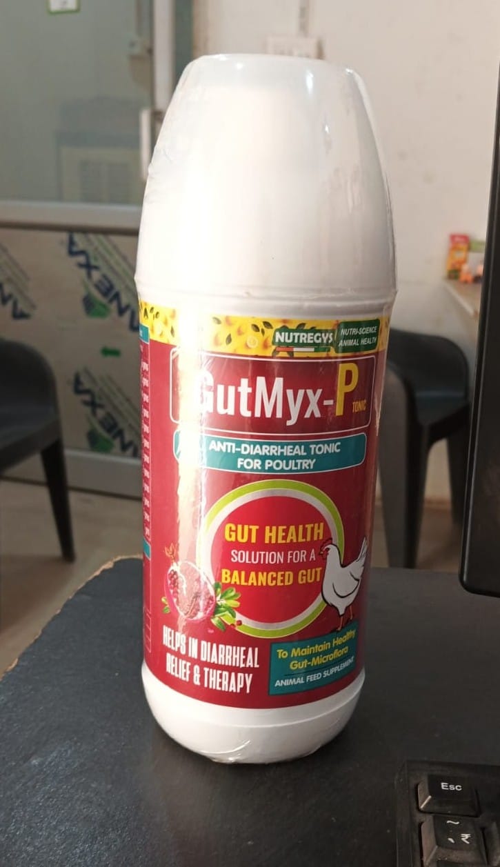 WhatsApp Image 2025-05-09 at 11.01.50 AM.jpeg